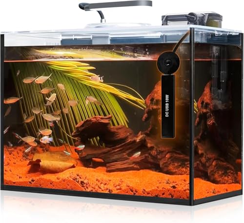 Aquarium Desktop Set 2.6 Gallon Small Fish Tank,...