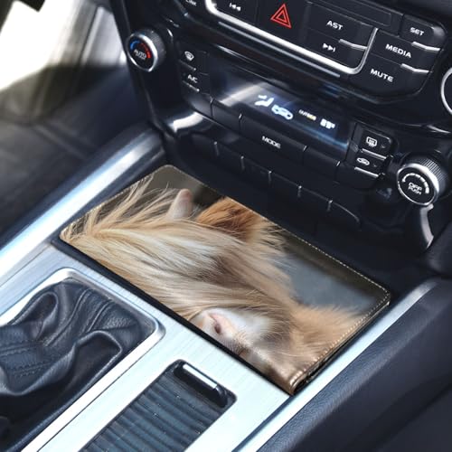 Organizador de Documentos para Auto Slim miniatura 5