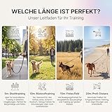 HUND IST KÖNIG Schleppleine 15m für Hunde 12-70kg - Lange robuste Hundeleine mit Griffpolster & Sicherheitskarabiner - Trainingsleine + eBook, Hundeleine lang 5m, 10m, 15m, 20m