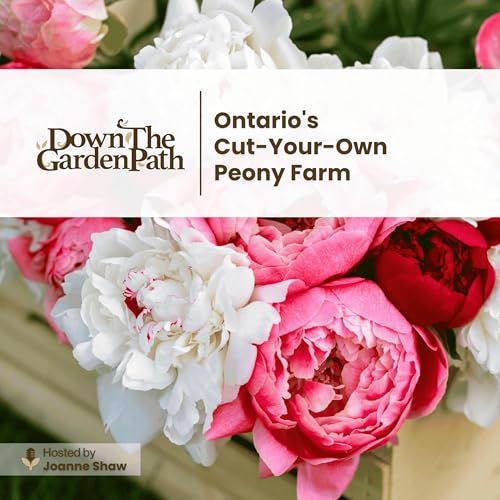 Ontario's Pick-Your-Own Peony Farm