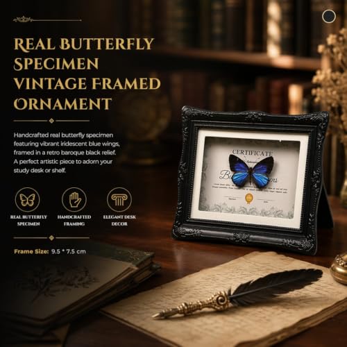 1Pcs Real Butterfly Framed Handmade, Taxidermy Butterfly Shadow Box Collection, Framed Butterfly Taxidermy for Oddities and Curiosities Gifts Tabletop Ornaments (#05-butterfly Specimen+photo Frame) — view 3
