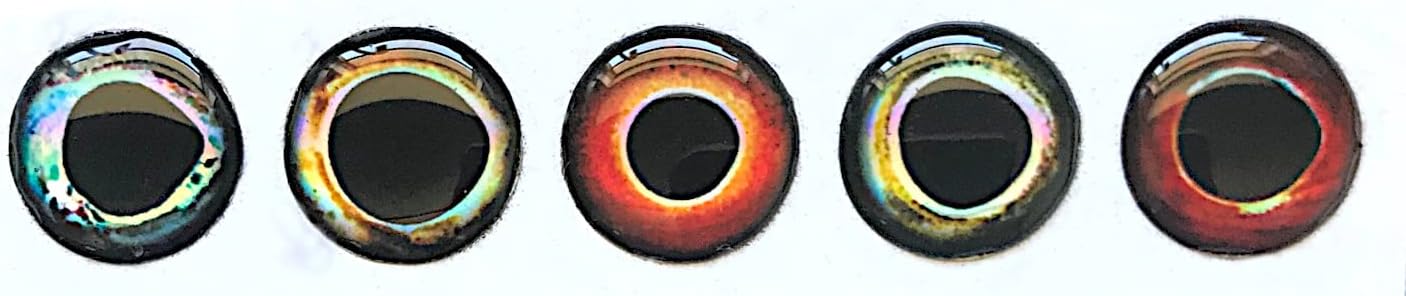 Brule 3-D Holographic Epoxy Fish Eyes (5mm-20mm) 60 Pack, Handpoured, Fishing Fly Tying Lures DIY Crafts