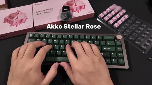 Amazon.com: Akko Stellar Rose Switch for Mechanical Gaming