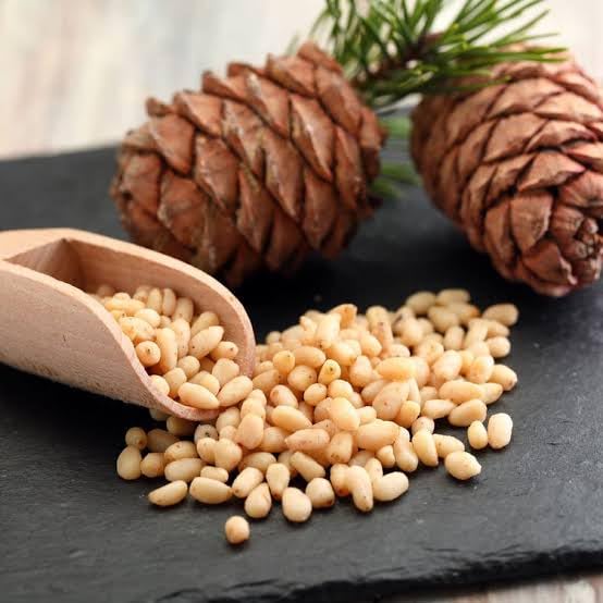 NUT URGE PINENUT 100g Delicious Pine NutsI Healthy Snaps I High in Fiber I Antioxidant RichI Freshly Harvested I Contains Vitamin E 1