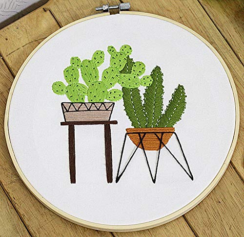 Kit de broderie, Cactus Awesocrafts - Gamme complète de kits de broderie pour débutants adultes et enfants - Motifs faciles à faire à la main - Cactus 2
