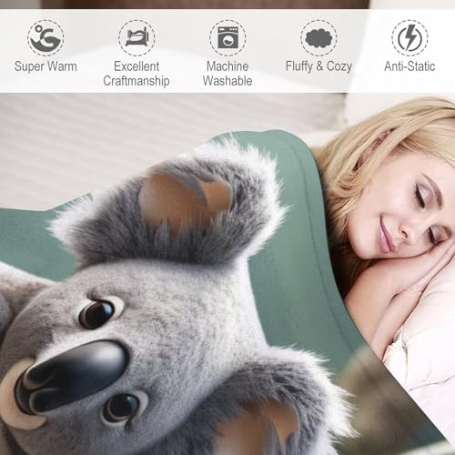 Manta para sofá Koala ideal para tardes frías de película 6