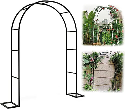 Arche de jardin pour plantes grimpantes avec support de tonnelle verte