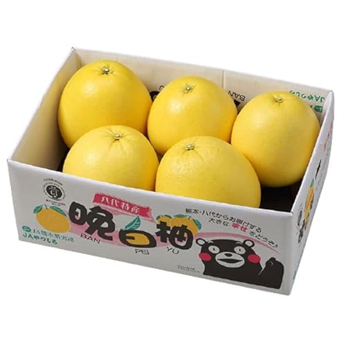 Ε ݂ ӔM ΂؂ Gi 2LTCY 5 10kg F{Y ~J  Mtg 