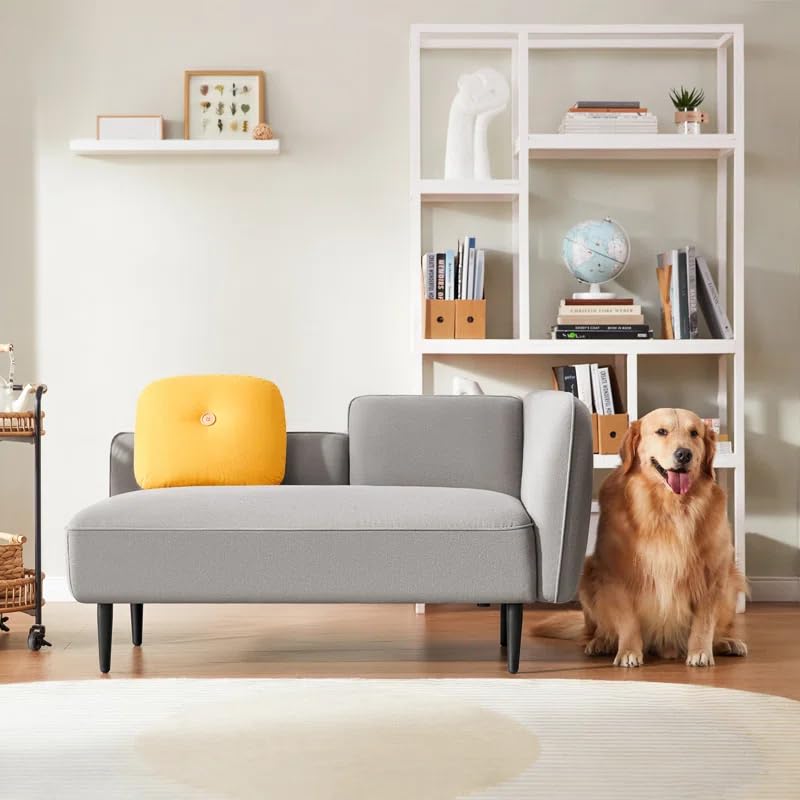 LEGACY OF COMFORT Batya 57.1'' Upholstered Loveseat 2 Seater Sofa Lounge Two Seater Sofa for Living Room Offices (Grey)-image-29
