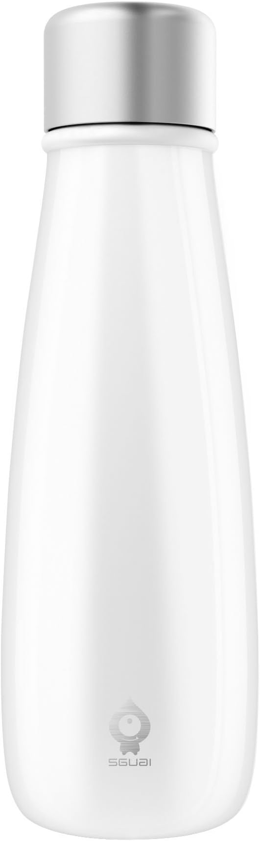 by Maxtron 13.5 oz Double Walled Vacuum Insulated Stainless Steel Thermal Bottle w Drink Water Hydration Reminder and HD LCD Temperature Indicator Smart Water Bottle Cup Displays Fahrenheit