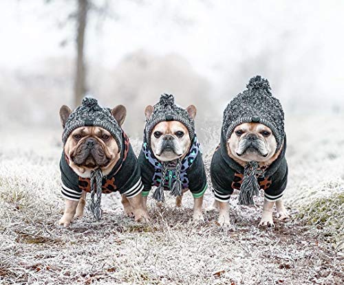 SEIS Winter Dog Knitted Hat with Puffball Warm Pet Cap Fashion Gray Cat Headband Protector for Small Medium Large Dogs… - Image 6