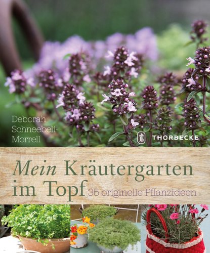 Mein Kräutergarten im Topf: 35 originelle Pflanzideen Mein Kräutergarten im Topf: 35 originelle Pflanzideen