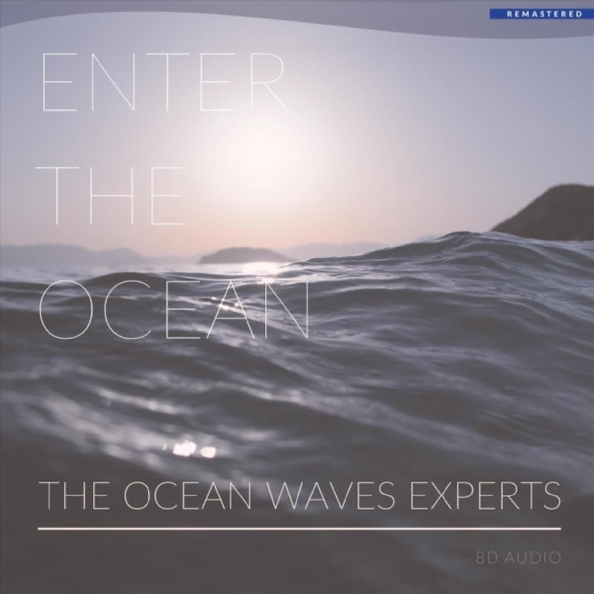 The Ocean Waves Experts