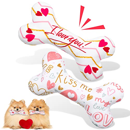 Pack de 2 Juguetes Valentine para Perros