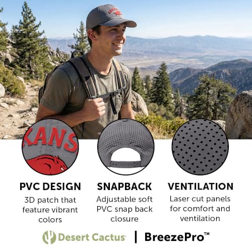 Gorra Snapback Desert Cactus Arkansas con cierre ajustable miniatura 3