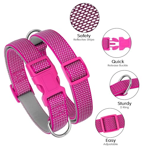 Didog Reflektierendes Hundehalsband mit Schnalle, verstellbar, weiches Neopren, gepolstert, Nylon, Haustierhalsbänder für kleine, mittelgroße und große Hunde, Hot Pink, S