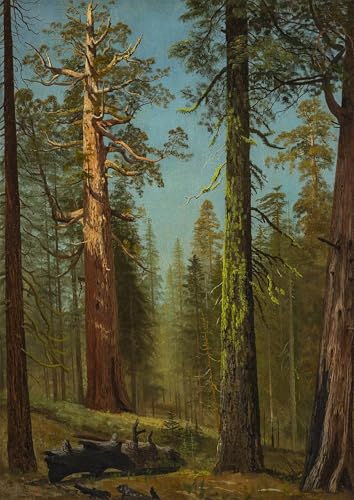 Cuadro en lienzo el Grizzly de 60x90cm, impresión artística de Albert Bierstadt