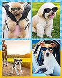 Lewondr Sonnenbrille für Hunde UV Schutzbrille, Hunde Winddichte & Antibeschlagbrille & Wasserdichter Hundebrille mit Einstellbar Gummiband für Kleine Hunde - Schwarz