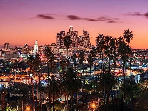 7x5ft Sunset Los Angeles Downtown Skyline Palm Trees Photography Backgrounds Vinyl Cloth Computer Print Wall Backdrop