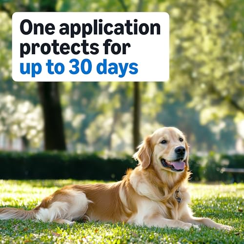 Image of Amazon Basics Flea and Tick Topical Treatment for Medium Dogs (23-44 lbs), Fast Acting and Long Lasting, 3 Count, Packaging May Vary