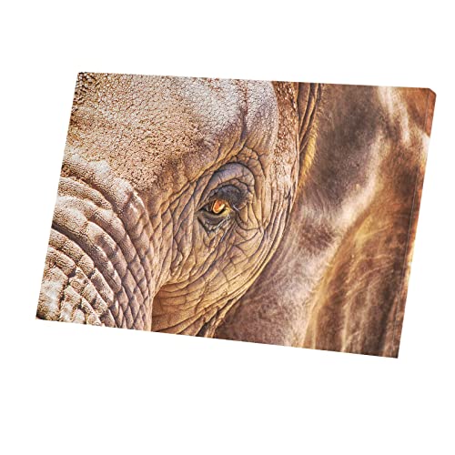 Toile imprimée éléphant beauté sauvage pour un salon évasion