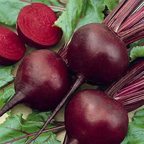 Organic Detroit Dark Red Beet Seeds – 3g Packet (~125 Seeds) – Heirloom, Non-GMO Vegetable Seeds for Gardening & Microgreens – Sweet, Tender Roots & Vibrant Greens