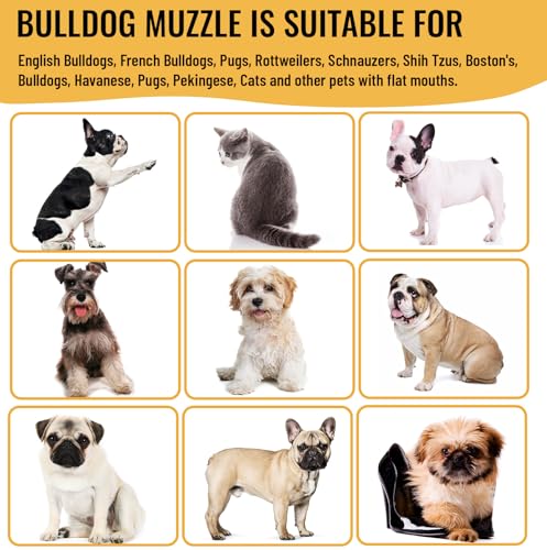 Beißkorb Französische Bulldogge Maulkorb, dellyy Maulkorb für Englische Bulldogge, Mesh Dog Muzzle, Deutscher Schäferhund und Dogue de Bordeaux (Schwarz, M)