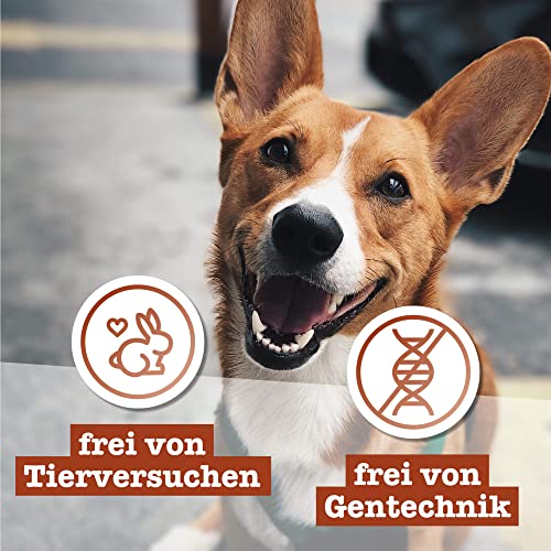 Chewies Lucky Bits Hirsch & Huhn Adult Hundeleckerli - Hunde-Leckerlis getreidefrei & Soft mit viel Protein und Superfoods wie Bierhefe oder Ginkgo, ohne Zucker (100 g)