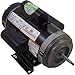 Century B116 4 HP 208-230 Volt 3450 RPM Century Pool Pump Motor B116