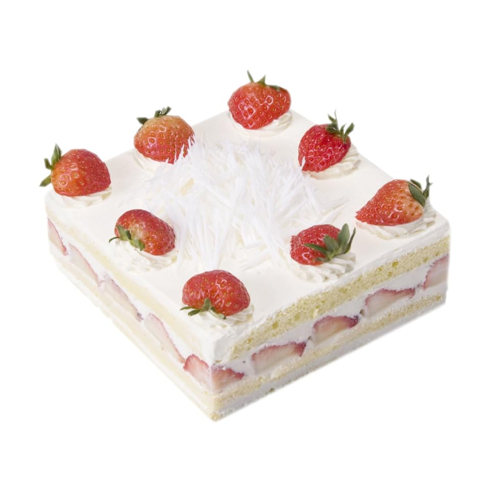 BESTonZON 17 Inch Square Mousse Mold, Non-Stick Seamless Stainless Steel Cake Ring, Baking Supplies, Cutter, Kitchen Pie Mold for Home Baking