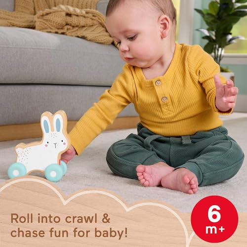 Fisher-Price Baby Toy Wooden Push-Along Bunny, Wood Vehicle for Crawling Developmental Play for Infants Ages 6+ Months - Image 3