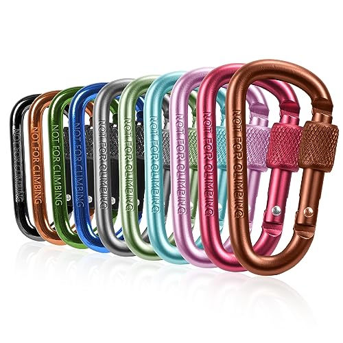 Leiptes 10 Piezas Mosquetones Pequeños Mini Mosquetones Aluminio Mosquetón Color Mini Mosquetones para Llaveros Camping Pesca Senderismo o Viajes 56mm