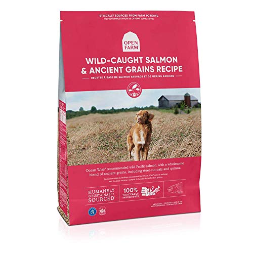 Open Farm Wild-Caught Salmon and Ancient Grains Recipe Dry Dog Food