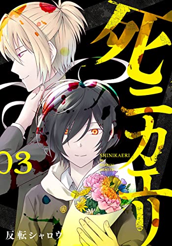 Amazon.co.jp: 反転シャロウ: 本、バイオグラフィー、最新アップデート