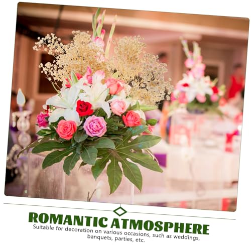 Ramo de flores secas Babys Breath para decoración miniatura 7