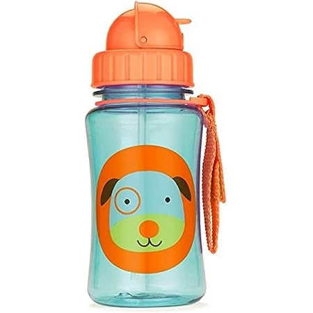 Skip Hop Toddler Sippy Cup with Straw, Zoo Steel Straw Bottle, Dog