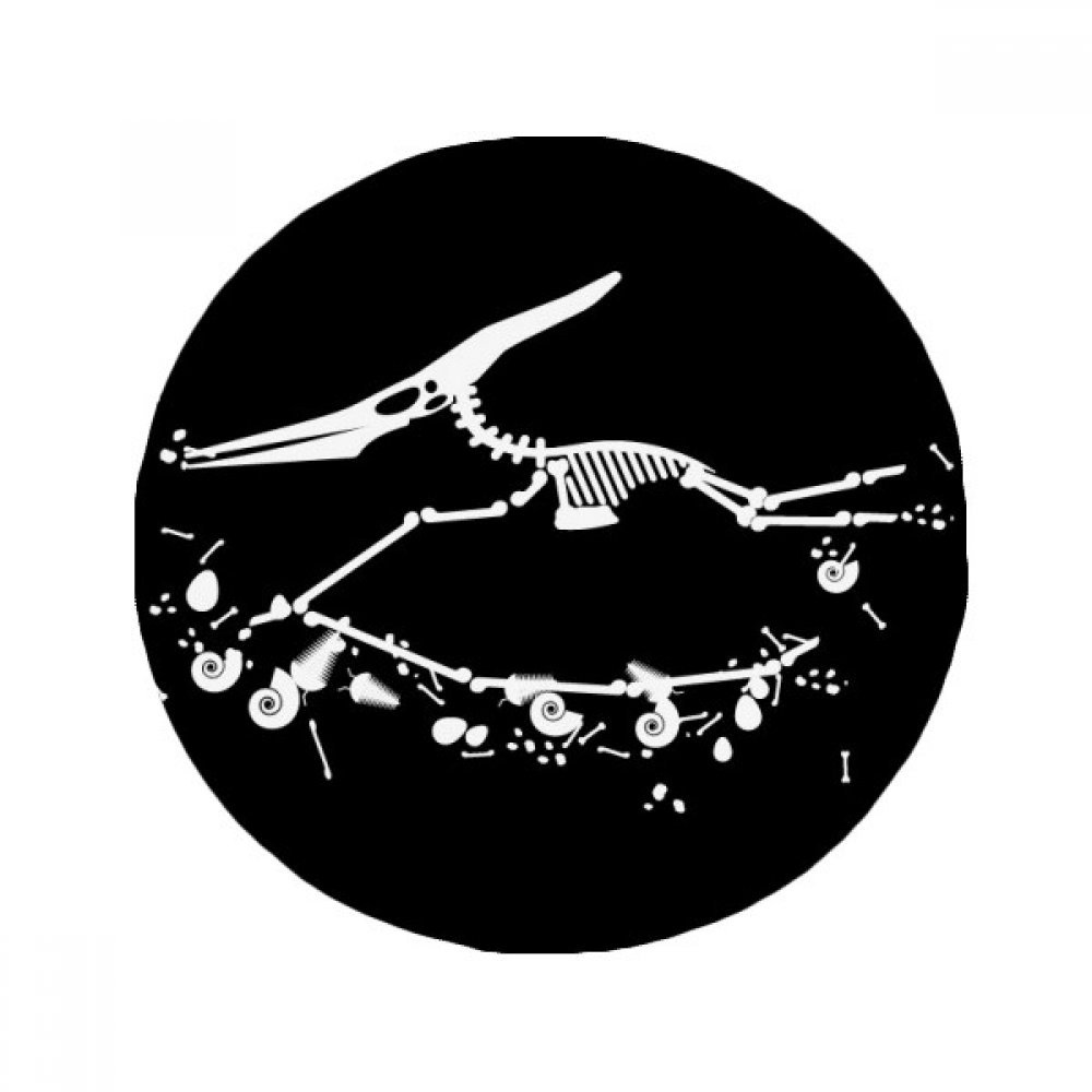 Tapis de sol dinosaure anti-glisse pour animaux et enfants