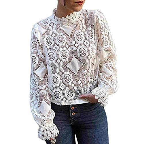Womens Dressy Casual Long Sleeve Lace Tops, Sheer Mock Neck Business Casual Tops,Going Out Tops for Girls