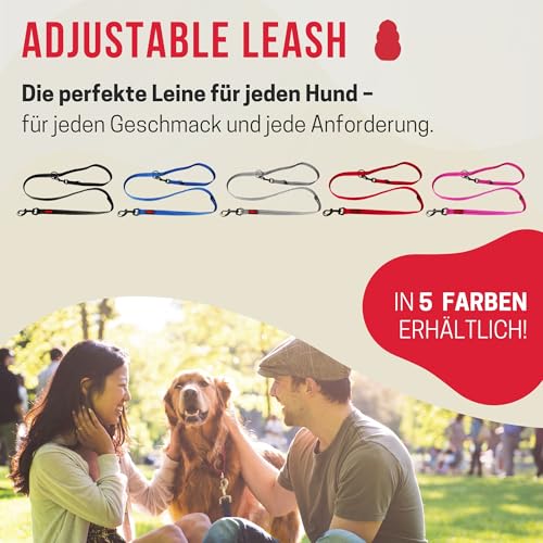 KONG robuste Hundeleine aus Nylon I grau I dreifach verstellbare Leine Hund I hochwertige Hundeführleine mit reflektierenden Elementen I Führleine Hund I Länge: 2 m I Breite: 19 mm