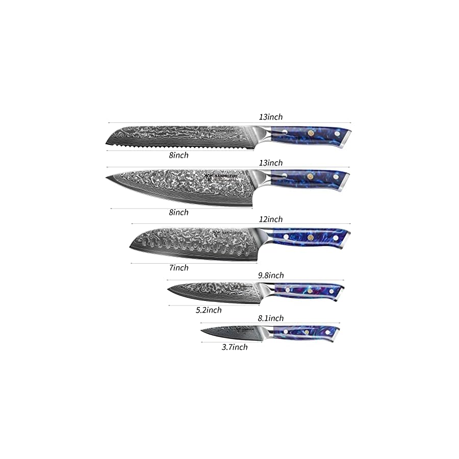Chef Cooking Knives Set- Kitchen Knife Set of 5 Piece - Ultra-Sharp VG10 Damascus Steel & Resin Handle - Xuan Series (Sapphire Blue)