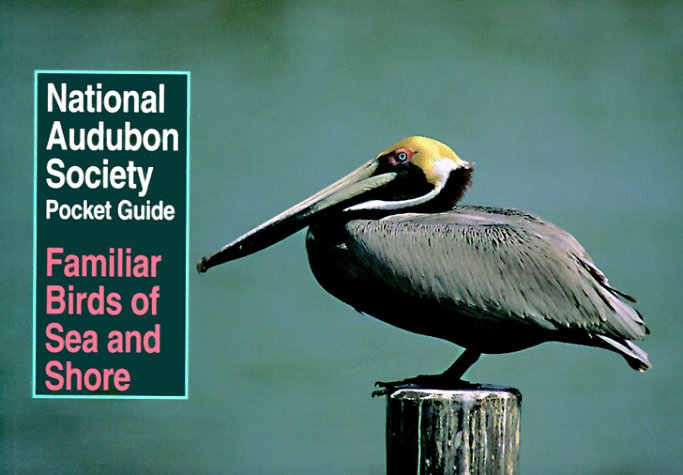 National Audubon Society Pocket Guide to Familiar Birds of Sea and Shore (National Audubon Society Pocket Guides)