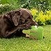 Minifeet Hundespielzeug Monster - Das spielerische Geschenk für aktive Hunde und ihre Herrchen oder solche die es werden wollen