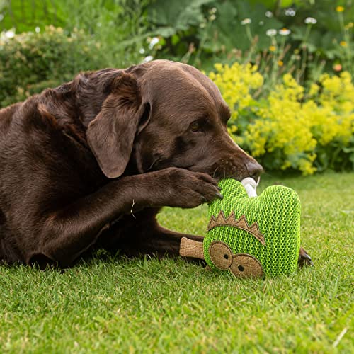 Minifeet Hundespielzeug Monster - Das spielerische Geschenk für aktive Hunde und ihre Herrchen oder solche die es werden wollen