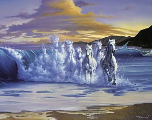 American Puzzles, The Wave Puzzle, 1000 Pieces Puzzle