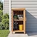 Goplus Wood Package Delivery Box for Outside, Patio Parcel Drop Box with Openable Lid, Removable Shelf, Side Door, Gas Rod, Utility 2-tier Outdoor Storage Cabinet Tool Shed for Front Porch Yard Garden
