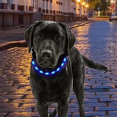 Light Up coleira recarregável,Coleira de luz de segurança resistente à água para cães | Coleira LED