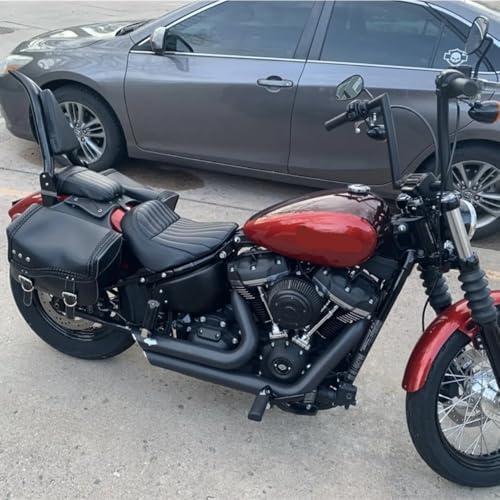 Dossier passager moto avec porte-bagages pour Softail Street Bob FXBB et Heritage Classic 2018-2023 - 6