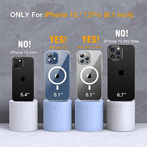Image of Miracase Magnetic for iPhone 12 /12 Pro Case 6.1 inch, (Compatible with MagSafe) Upgrade Full-Body Clear Phone Bumper Case with Built-in 9H Tempered Glass Screen Protector, Magnetic Clear