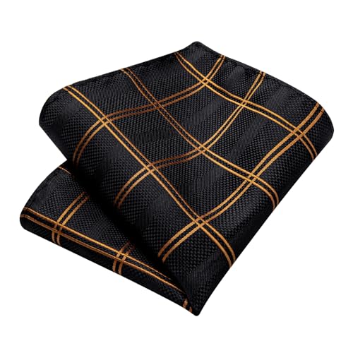 Image of DiBanGu Silk Ties for Men Necktie and Lapel Pin Brooch Set Formal Woven Paisley Plaid Striped Solid Tie Wedding Party