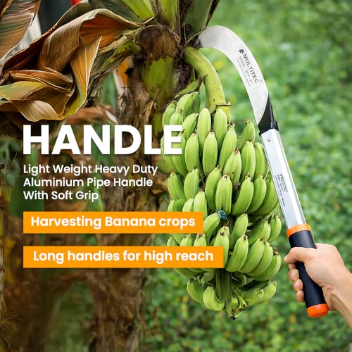 Image of MULTITEC Coconut Tree Pruning Saw | 650mm Steel Blade with 31 inch Aluminium Handle | Manual Cutter for Coconut & Banana Harvesting | Lightweight, Corrosion-Resistant Garden Saw